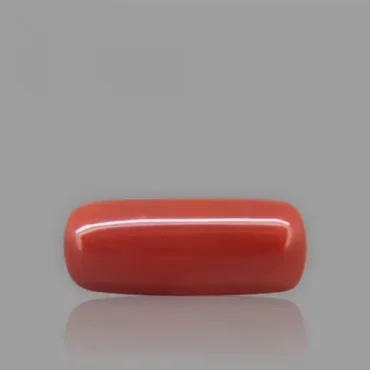Red Coral - 8.61 Carat