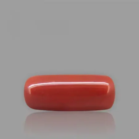 Red Coral - 8.61 Carat