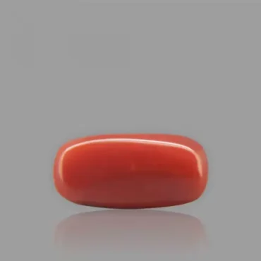 Red Coral - 5.84 Carat