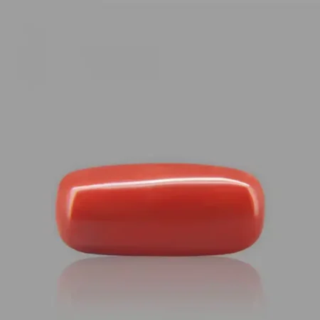 Red Coral - 7.91 Carat