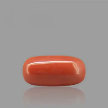 Red Coral - 5.52 Carat