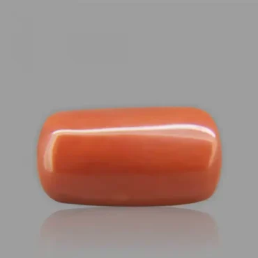 Red Coral - 6.02 Carat