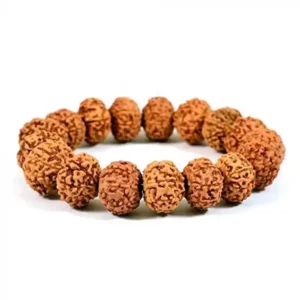 4 Mukhi Rudraksha Stretchable Bracelet